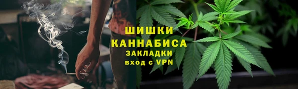крисы Арсеньев