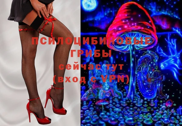 хмурый Армянск